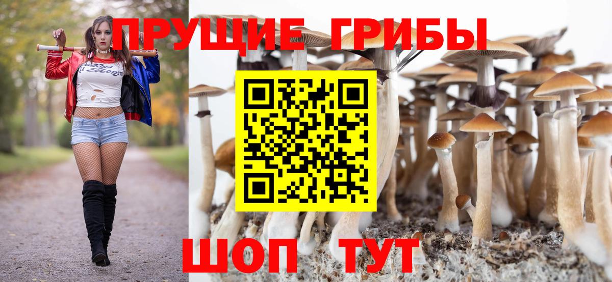 Псилоцибиновые грибы Cubensis  Вход с VPN  Галлюциногенные грибы GOLDEN TEACHER  Бахчисарай 