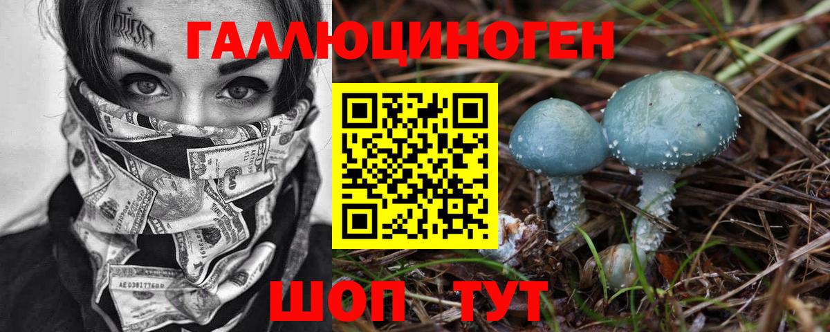 Псилоцибиновые грибы GOLDEN TEACHER Бахчисарай